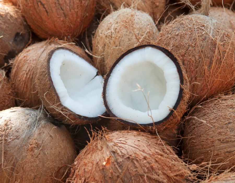 coco seco